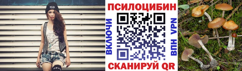 shop формула  Щучье  Галлюциногенные грибы Psilocybe 